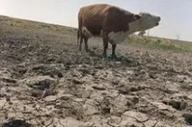 тайфуни Spillover ускорява насочения