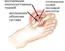 меню