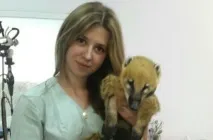 звірина
