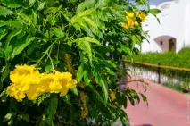 Єгипет Як і навіщо потрапити до Шарм-ель-Шейху Сік! єгипет