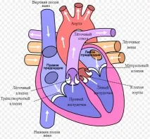 струва
