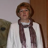 експерти оцениха филатова