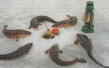 след това след това
