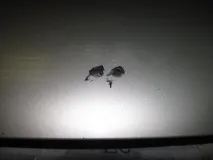 взех решение филм