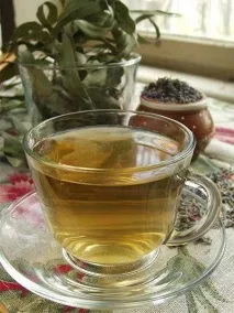 лечебни евкалиптови