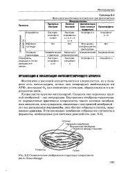 голяма статия