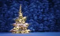 ленинградска ленинградска