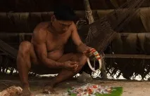 НОВИНИ СНИМКИ НОВИНИ СНИМКИ