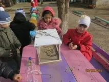 зимуващи птици