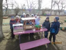 Зимуващи птици Зимуващи птици