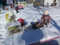 птици птици