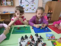 Зимуващи птици птици