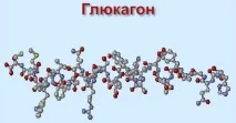 хормон инструкции
