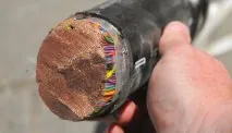 телефоніст