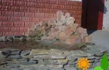 хортензия грижи