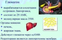 хормон употреба