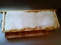 изпомпване изпомпване
