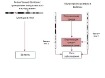 Генетична схильність до розвитку деменції деменції