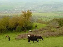 республіки