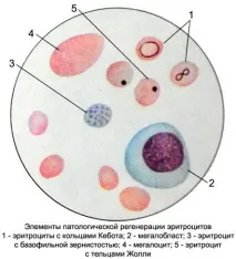 блог