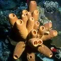 разходки разходки