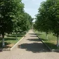 разходки маска