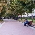 отговори определение