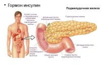 инсулин кръвната захар