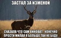 игнорирайте като