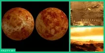 факти интересни факти