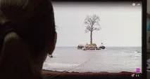 дендрарій