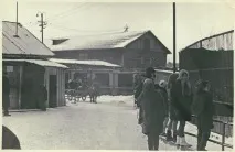 история интерактивно
