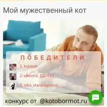 Підсумки конкурсу – Мій мужній кіт – 2017 – Кіт Обормот підсумки