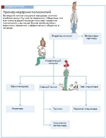 Як достукатися до начальства – будуємо стосунки з керівниками ветеринарних клінік достукатися