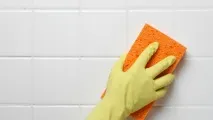 шевовете шевовете