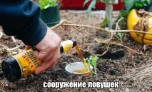 прости отървете