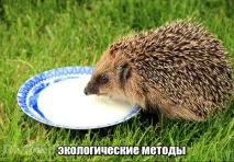 страната отървете