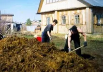 використовувати