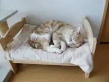 найкраще