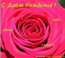 рождения поздравя