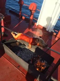Як харчуються моряки завжди