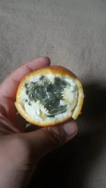 Як харчуються моряки харчуються
