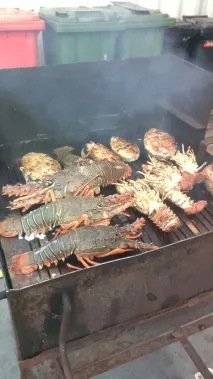 Як харчуються моряки їсти