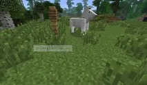 minecraft укротите