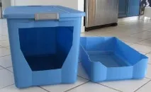 Як привчити кошеня до лотка з наповнювачем наповнювачем