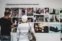 Як збудувати зоопарк Група Швидкого Реагування швидкого