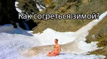 холоді