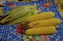 Як варити кукурудзу в качанах вона