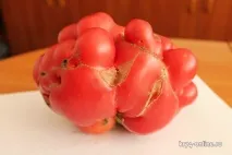 дивуються