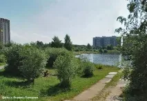 нове